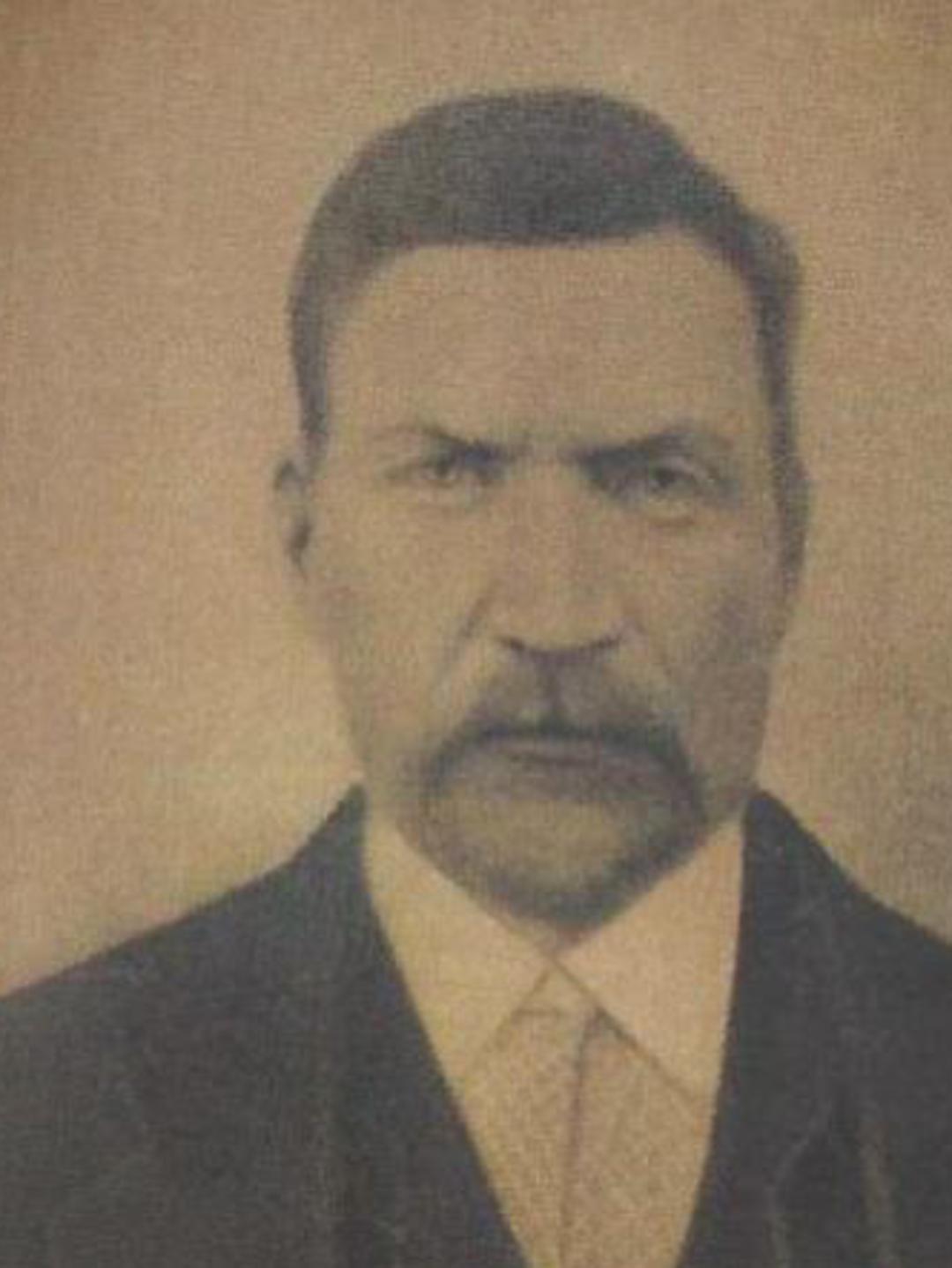 Niels Peter Hansen (1846 - 1921) Profile